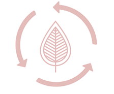 Plissee und Jalousien nachhaltige Lösungen